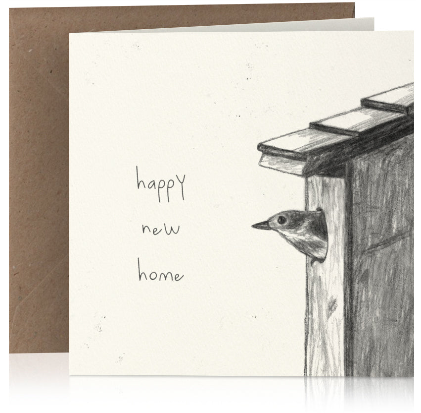 Bird new home x 6