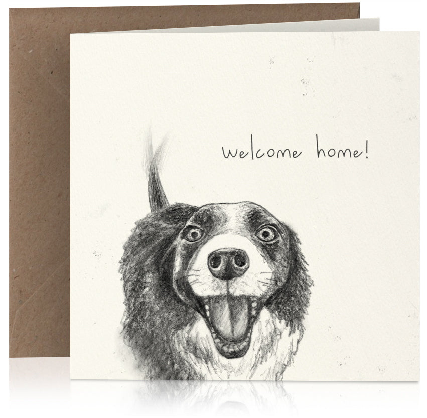 Waggy welcome x 6