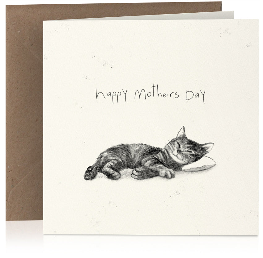 Mothers Day relaxing cat x 6