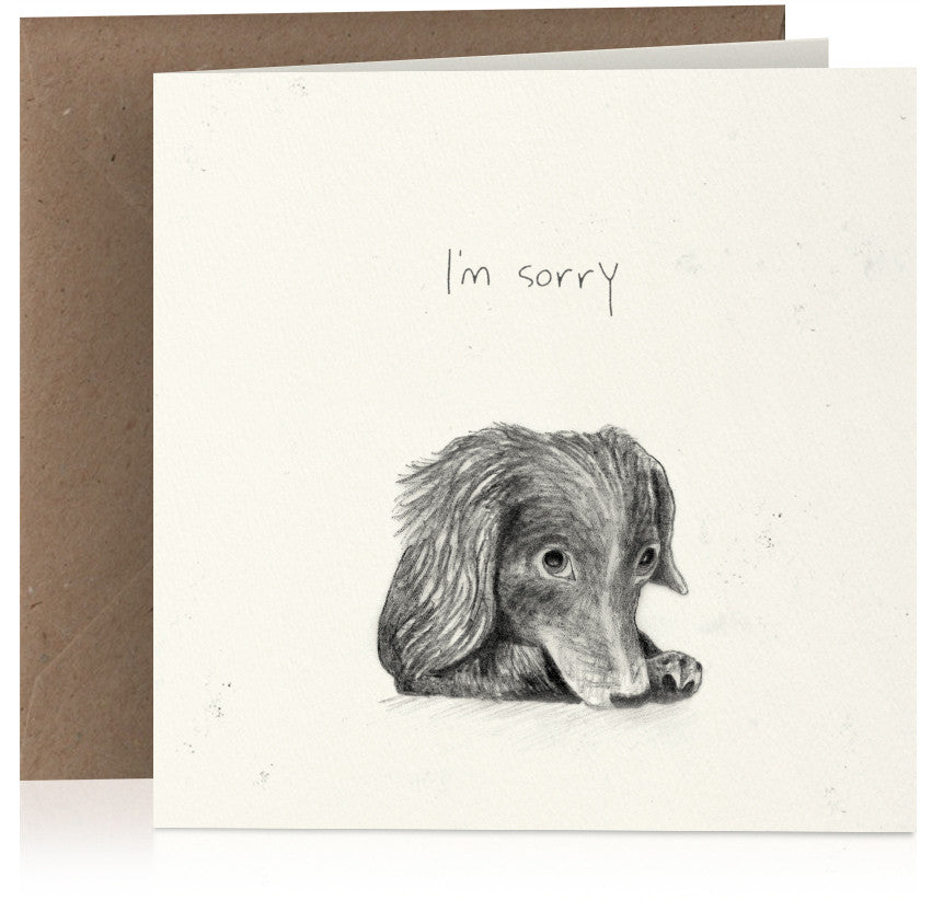 Sorry sausage dog x 6