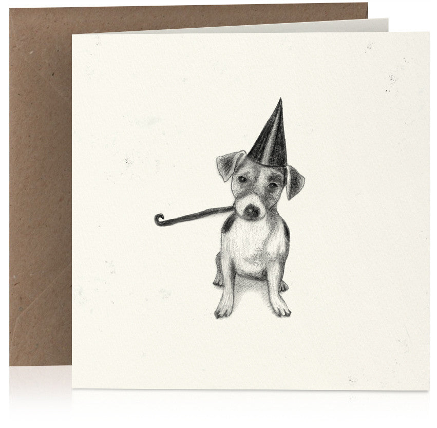 Party dog x 6
