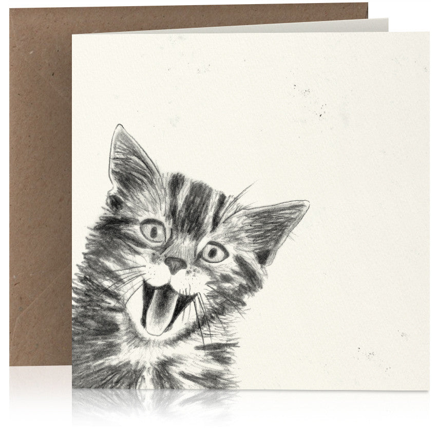 Happy cat x 6