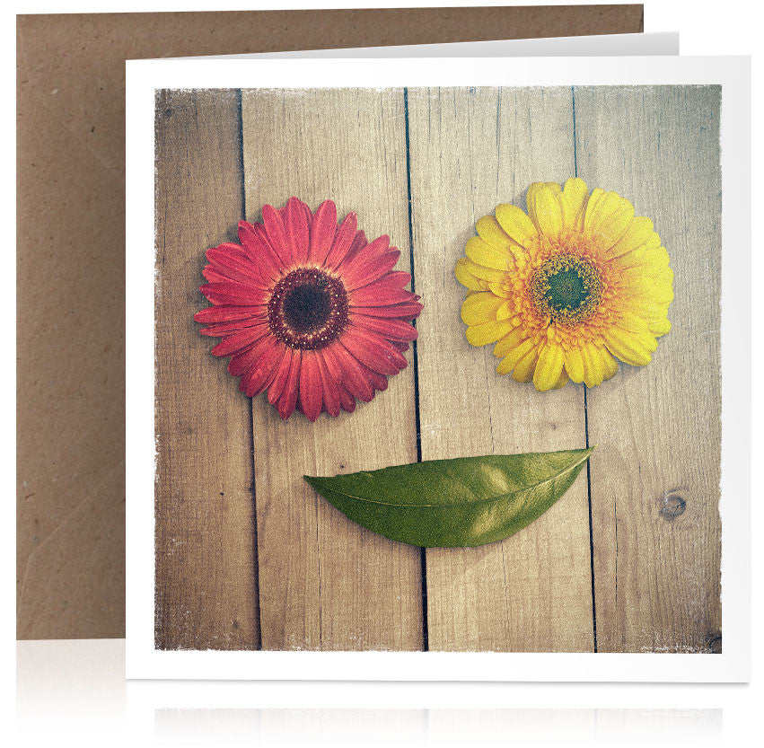 Flowers and leaf x 6