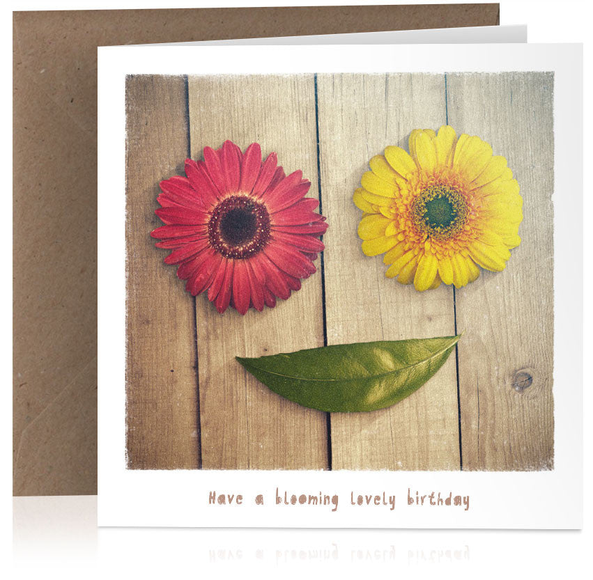 Blooming lovely birthday x 6