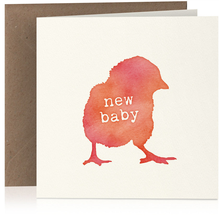 New baby chick x 6