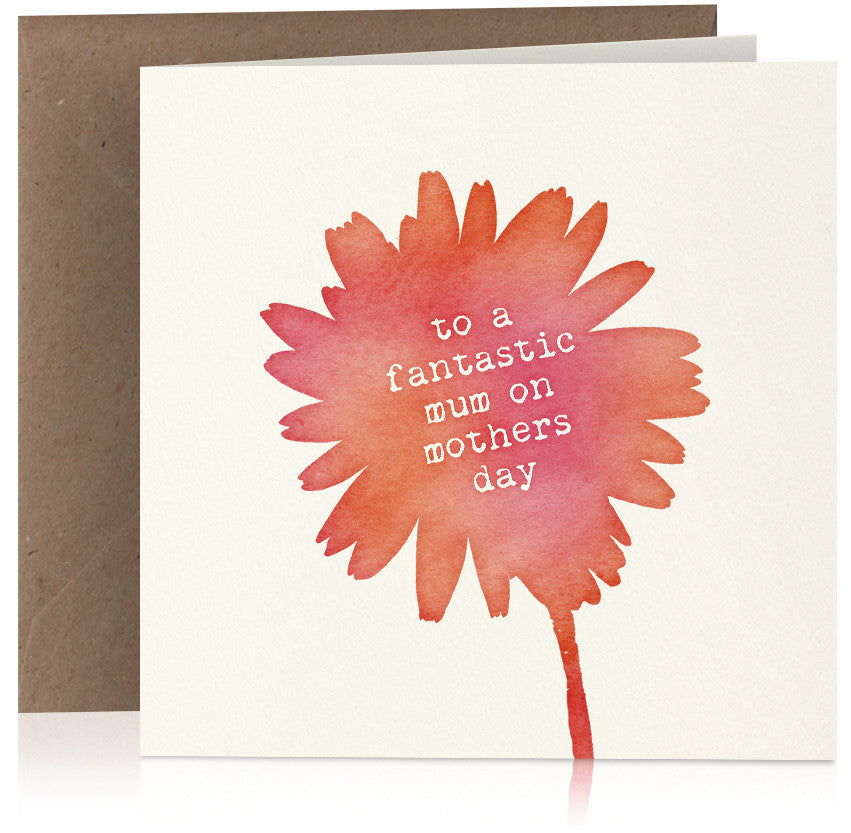Mothers Day orange flower x 6