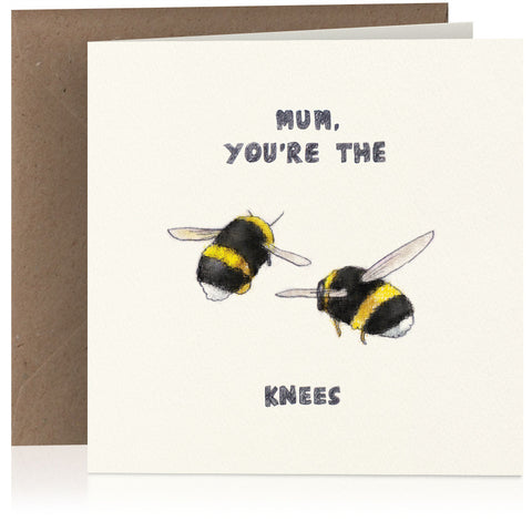Bees' knees (mum) x 6