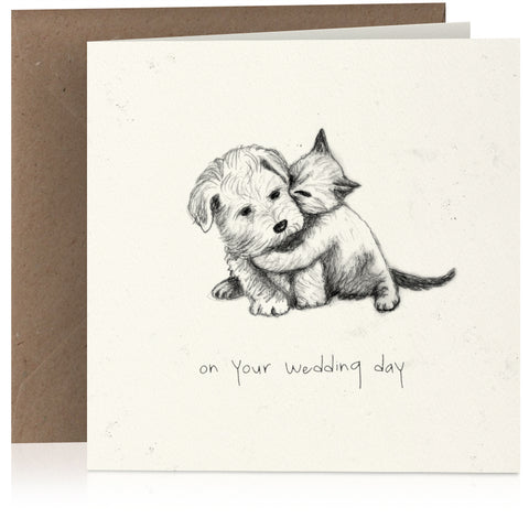 Kitten and puppy wedding x 6