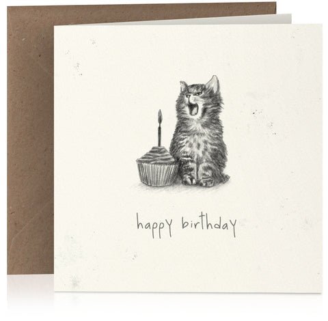 Kitten and cake birthday x 6