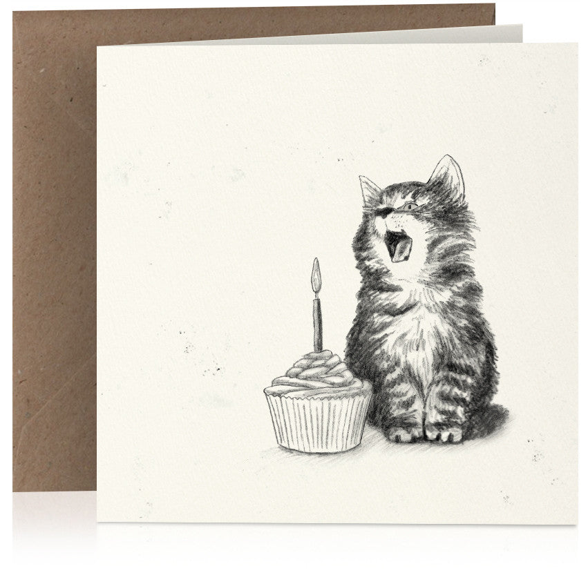 Kitten and cake x 6
